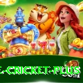 one cricket Live King v2.5.3