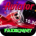 pakrummy Apps (Tools & Injectors) Gold v1.0.7