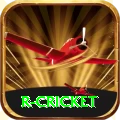 r cricket Pro Edition v5.9.2