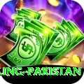responsible gambling pakistan Max v3.1.4