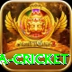 sa cricket VIP v3.2.5