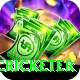 shahrukh khan cricketer Games (Casino & Earning) Pro v4.6.6