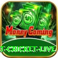 smart cricket live VIP