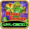 smartcric live cricket Turbo Pro v1.2.5