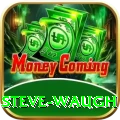 steve waugh Pro Edition v3.4.9