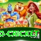 t20 cricket Deluxe v3.6.9