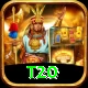 t20 Master Pro v4.2.4