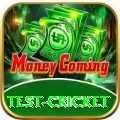 test cricket Ultimate Pro v4.8.8