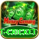 test cricket Ultimate Pro v4.8.8