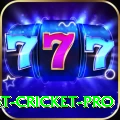 test cricket Prime v2.6.1