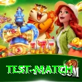 test match Turbo Pro v2.6.1