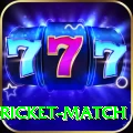 to day cricket match Premium Plus v1.1.6