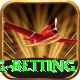 turkey super lig betting Master v1.2.3