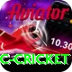 uc cricket Pro Max v3.3.9