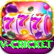 v cricket Games (Casino & Earning) Max v4.3.5