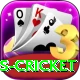 west indies cricket Deluxe v1.6.1