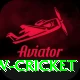 willow cricket Pro