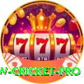 willow cricket Casino Mega v4.8.5