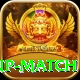 world cup match Gold v4.6.7